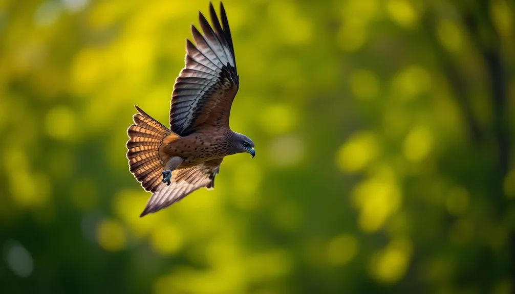 impressive autofocus capabilities